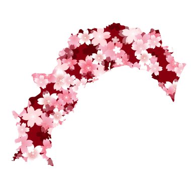 Kochi　spring cherry blossoms